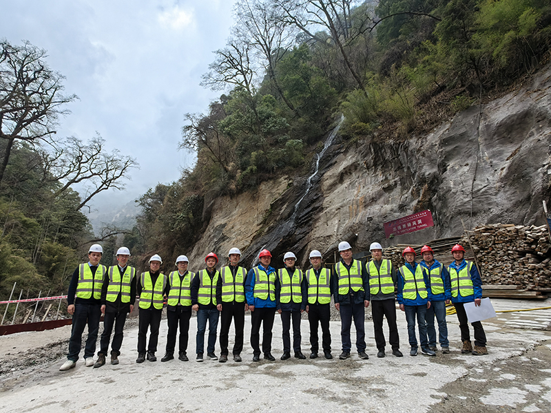 三金考拉项目考察现场 (1).jpg