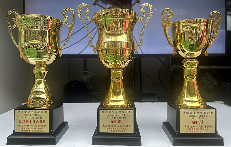 配图4 奖杯.JPG