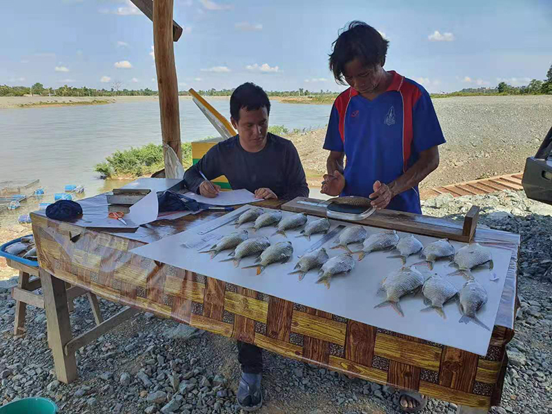 东萨宏项目湄公河鱼类调查.jpg